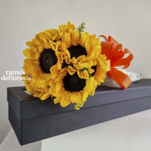 Caja 12 Girasoles