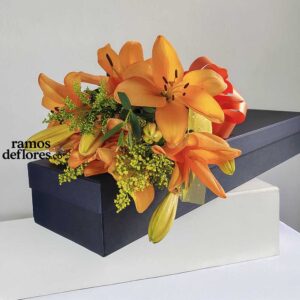 Caja Lirios
