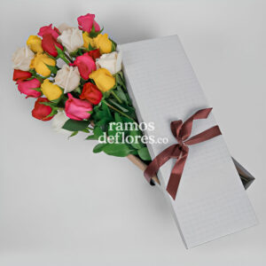Caja 24 Rosas (Multicolor)